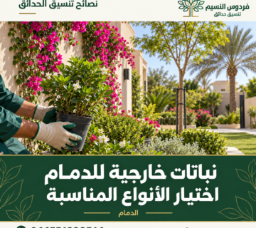 Choosing Outdoor Plants for Dammam 8 360x320