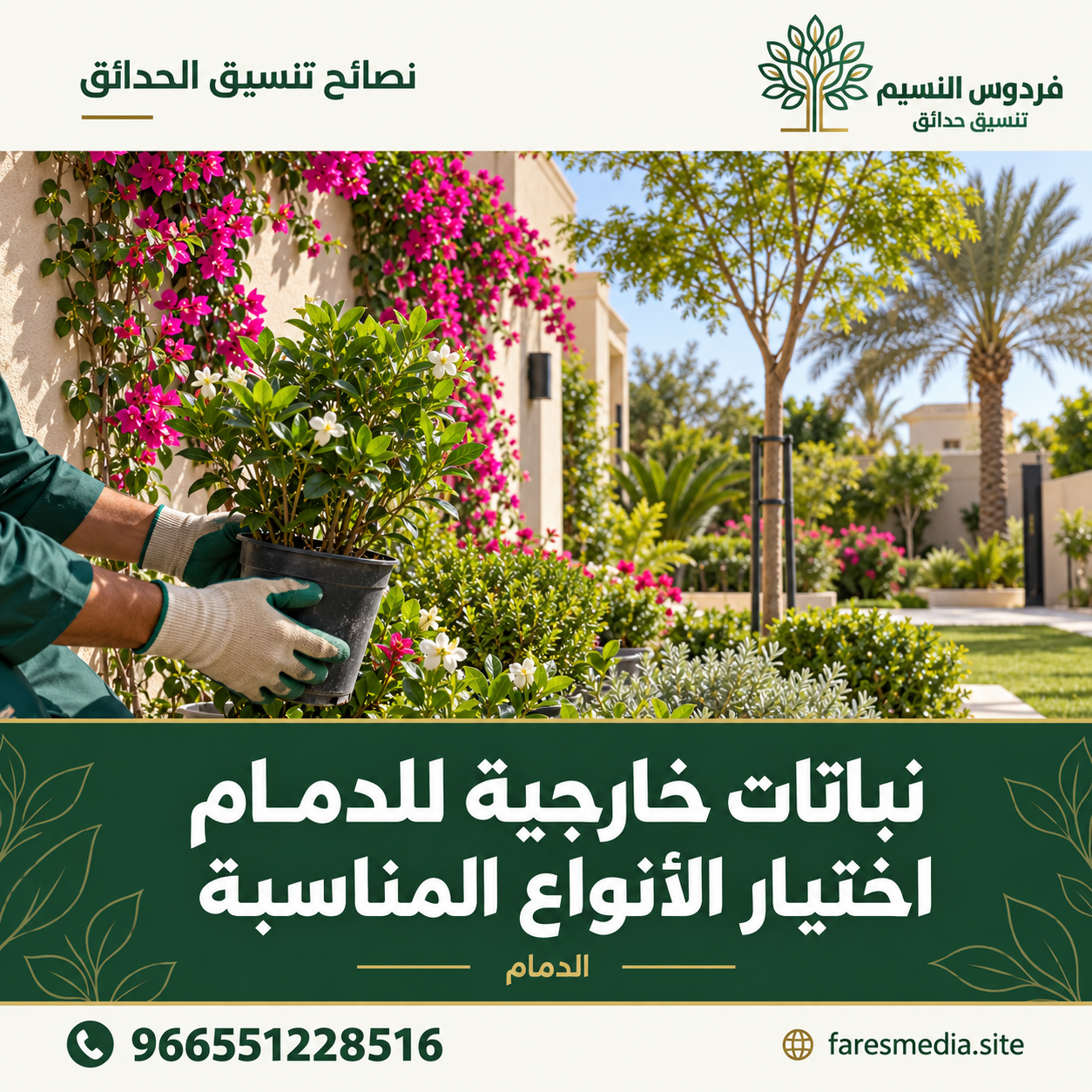 Choosing Outdoor Plants for Dammam 8