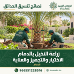 Date Palm Planting in Dammam 8 150x150