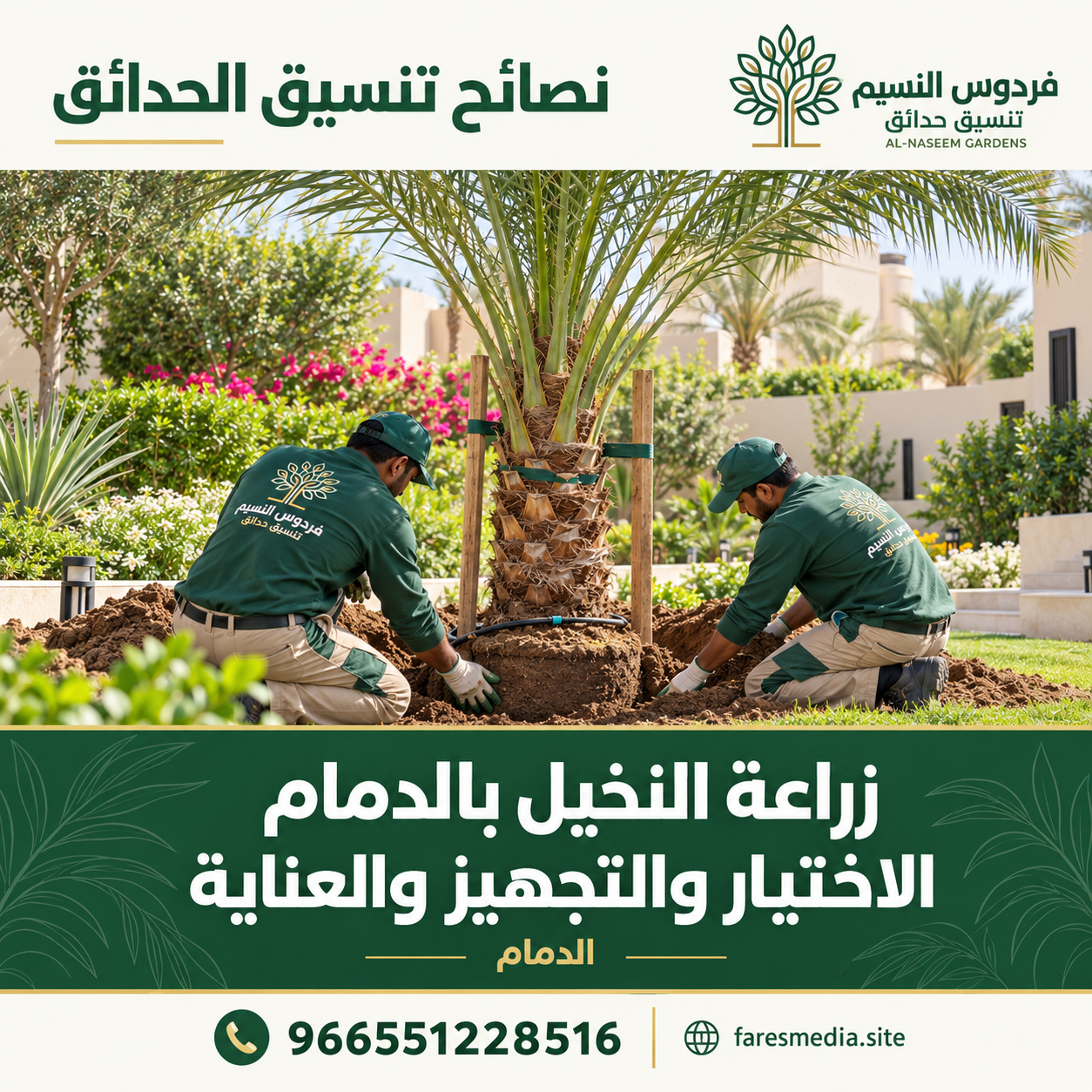 Date Palm Planting in Dammam 8