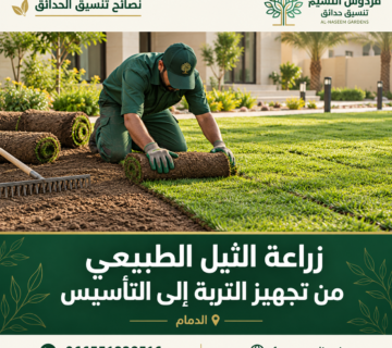 Natural Sod Installation in a Saudi Garden 3 360x320