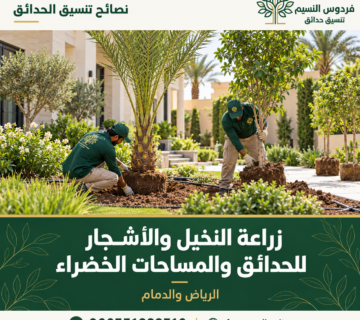 Planting palms in Saudi gardens 7 360x320