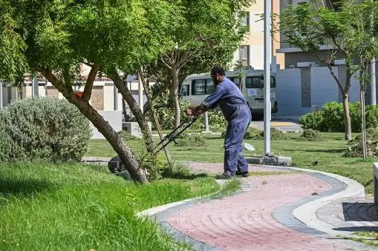 لماذا يتغير جدول صيانة الحدائق في الدمام طوال العام؟